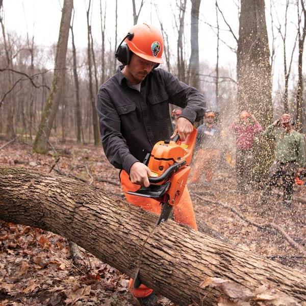 Student cutting tree